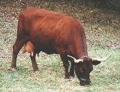 image091.jpg